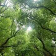 ヒメ日記 2025/08/03 15:41 投稿 れん奥様 川崎人妻ソープ Mint(ミント)