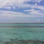 ヒメ日記 2025/08/30 14:19 投稿 れん奥様 川崎人妻ソープ Mint(ミント)