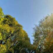 れん奥様 おはようございます 川崎人妻ソープ Mint(ミント)