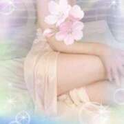 ヒメ日記 2025/04/20 16:26 投稿 板倉 しのぶ こあくまな熟女たち 鶯谷・日暮里店(KOAKUMAグループ)