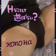 ヒメ日記 2025/04/21 23:58 投稿 このは 熟女の風俗最終章 沼津店