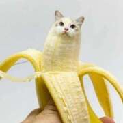 ヒメ日記 2025/07/04 07:58 投稿 このは 熟女の風俗最終章 沼津店