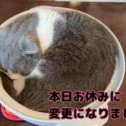 ヒメ日記 2025/07/21 08:28 投稿 このは 熟女の風俗最終章 沼津店