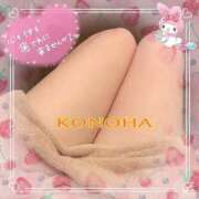 ヒメ日記 2025/07/23 08:18 投稿 このは 熟女の風俗最終章 沼津店