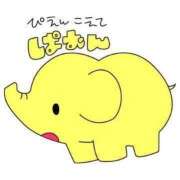 ヒメ日記 2025/08/07 09:48 投稿 このは 熟女の風俗最終章 沼津店