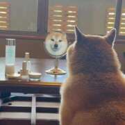 ヒメ日記 2025/09/15 15:28 投稿 このは 熟女の風俗最終章 沼津店