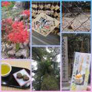 ヒメ日記 2025/09/29 10:28 投稿 このは 熟女の風俗最終章 沼津店