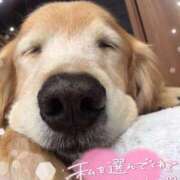 ヒメ日記 2025/11/04 16:38 投稿 このは 熟女の風俗最終章 沼津店