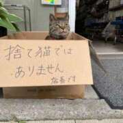 ヒメ日記 2025/11/21 14:18 投稿 このは 熟女の風俗最終章 沼津店