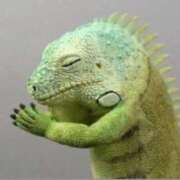 ヒメ日記 2025/12/15 19:19 投稿 このは 熟女の風俗最終章 沼津店