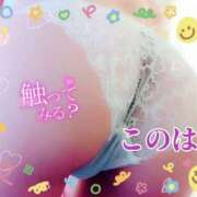 ヒメ日記 2025/12/16 13:54 投稿 このは 熟女の風俗最終章 沼津店