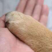 ヒメ日記 2025/12/17 14:02 投稿 このは 熟女の風俗最終章 沼津店