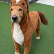 ヒメ日記 2026/01/06 15:38 投稿 このは 熟女の風俗最終章 沼津店