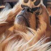 ヒメ日記 2026/01/08 17:53 投稿 このは 熟女の風俗最終章 沼津店