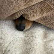 ヒメ日記 2026/01/13 11:28 投稿 このは 熟女の風俗最終章 沼津店