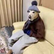 このは 昨日も🥰 熟女の風俗最終章 沼津店