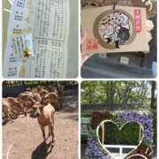 ヒメ日記 2026/05/26 08:23 投稿 このは 熟女の風俗最終章 沼津店