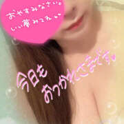 ヒメ日記 2025/07/29 00:12 投稿 みお Hip's千葉駅前店