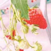 ヒメ日記 2025/04/20 00:59 投稿 いろは ウルトラハピネス