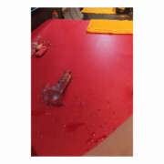 ヒメ日記 2025/08/12 01:19 投稿 なる 恋愛生欲情の扉