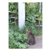 ヒメ日記 2025/09/05 14:39 投稿 なる 恋愛生欲情の扉