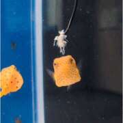 ヒメ日記 2025/09/26 13:39 投稿 なる 恋愛生欲情の扉