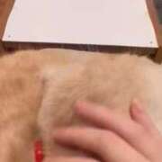 ヒメ日記 2025/11/22 21:10 投稿 もこ 京都出張メンズエステChou Chou（シュシュ)