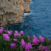 ヒメ日記 2025/04/19 19:33 投稿 雫彩乃 五十路マダムセレブリティ横浜店（カサブランカグループ）