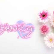 ヒメ日記 2025/06/06 19:32 投稿 みよ 熟女の風俗最終章 宇都宮店