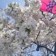 ヒメ日記 2026/03/29 12:57 投稿 みよ 熟女の風俗最終章 宇都宮店