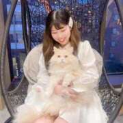 ヒメ日記 2025/05/28 21:55 投稿 ゆき※ご奉仕型ドМ嬢 即イキ淫乱倶楽部 船橋店