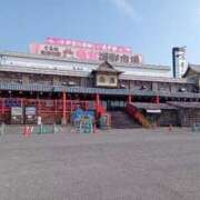 ヒメ日記 2025/06/19 11:38 投稿 きんぎょ 熟女の風俗最終章 沼津店