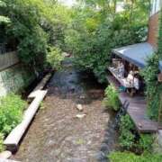 ヒメ日記 2025/07/13 11:04 投稿 きんぎょ 熟女の風俗最終章 沼津店