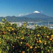 ヒメ日記 2025/10/07 20:43 投稿 きんぎょ 熟女の風俗最終章 沼津店