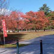 ヒメ日記 2025/11/03 20:28 投稿 きんぎょ 熟女の風俗最終章 沼津店