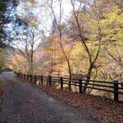 ヒメ日記 2025/12/23 22:08 投稿 きんぎょ 熟女の風俗最終章 沼津店