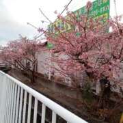 ヒメ日記 2026/02/18 22:08 投稿 きんぎょ 熟女の風俗最終章 沼津店