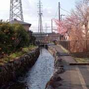 きんぎょ 沼津風景③ 熟女の風俗最終章 沼津店