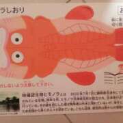 ヒメ日記 2026/07/06 15:58 投稿 きんぎょ 熟女の風俗最終章 沼津店