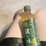 ヒメ日記 2025/05/19 08:08 投稿 せいな ホテピン