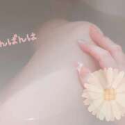 ヒメ日記 2025/04/20 20:28 投稿 柚木千草 五十路マダム宇都宮店(カサブランカグループ)