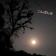 ヒメ日記 2025/04/26 23:18 投稿 柚木千草 五十路マダム宇都宮店(カサブランカグループ)