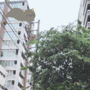 ヒメ日記 2025/05/10 14:40 投稿 柚木千草 五十路マダム宇都宮店(カサブランカグループ)