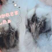 ヒメ日記 2025/05/13 22:22 投稿 柚木千草 五十路マダム宇都宮店(カサブランカグループ)