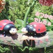 ヒメ日記 2025/05/17 21:30 投稿 柚木千草 五十路マダム宇都宮店(カサブランカグループ)