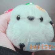 ヒメ日記 2025/05/25 10:42 投稿 柚木千草 五十路マダム宇都宮店(カサブランカグループ)