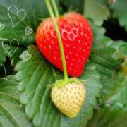 ヒメ日記 2025/05/28 21:36 投稿 柚木千草 五十路マダム宇都宮店(カサブランカグループ)