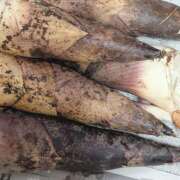 ヒメ日記 2025/05/31 10:28 投稿 柚木千草 五十路マダム宇都宮店(カサブランカグループ)