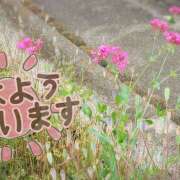 ヒメ日記 2025/06/04 09:14 投稿 柚木千草 五十路マダム宇都宮店(カサブランカグループ)