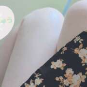 ヒメ日記 2025/06/04 12:10 投稿 柚木千草 五十路マダム宇都宮店(カサブランカグループ)